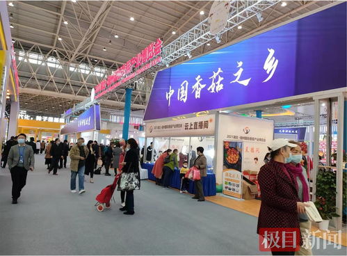 全球香菇荟江城 武汉国际香菇产业博览会引领行业新浪潮