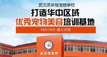 武汉指尖优品与派多格宠物技术专修学校 携手打造宠物行业品质教育新标杆