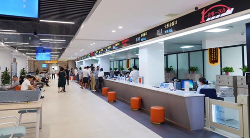 武汉云溪区 巧用“加减乘除”法 做优营商服务“指尖优品”