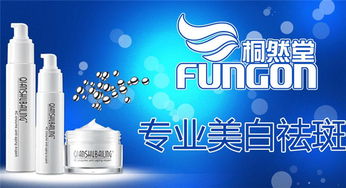 桐然堂 以自然之美点亮现代店铺装修灵感